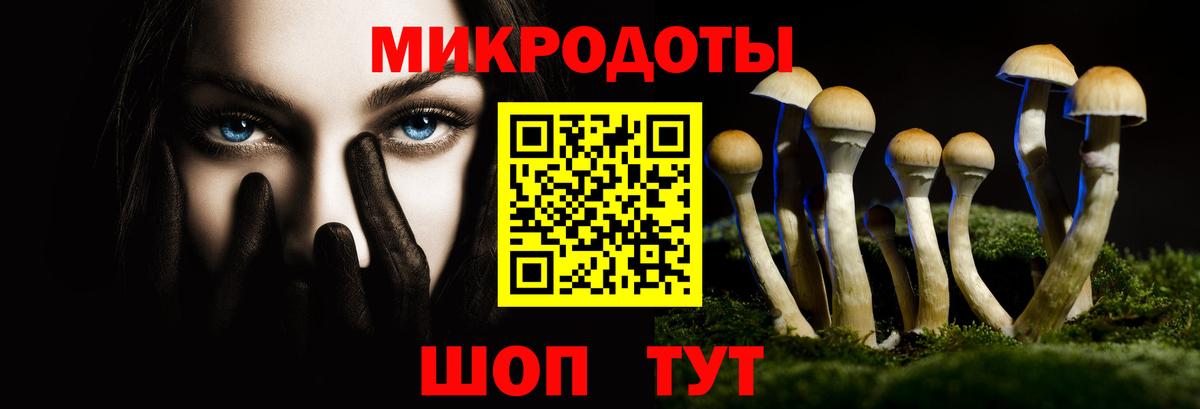 Галлюциногенные грибы Psilocybine cubensis  Галлюциногенные грибы мухоморы  Арсеньев  Вход с VPN 